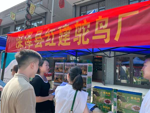 京石团队选品.jpg