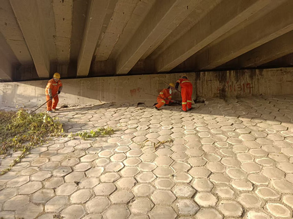 桥下空间清理_副本.jpg 桥下空间清理_副本.jpg