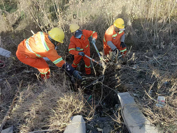 养护清理_副本.jpg 养护清理_副本.jpg