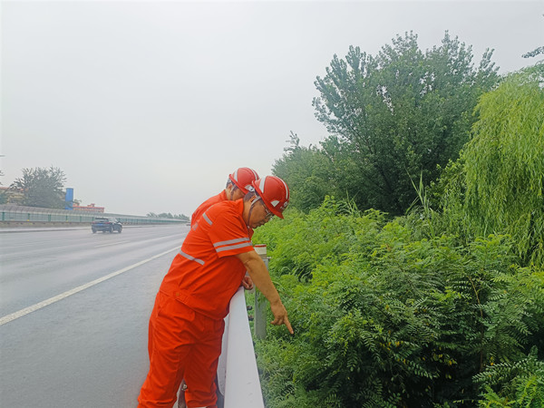IMG20250725094248_副本.jpg