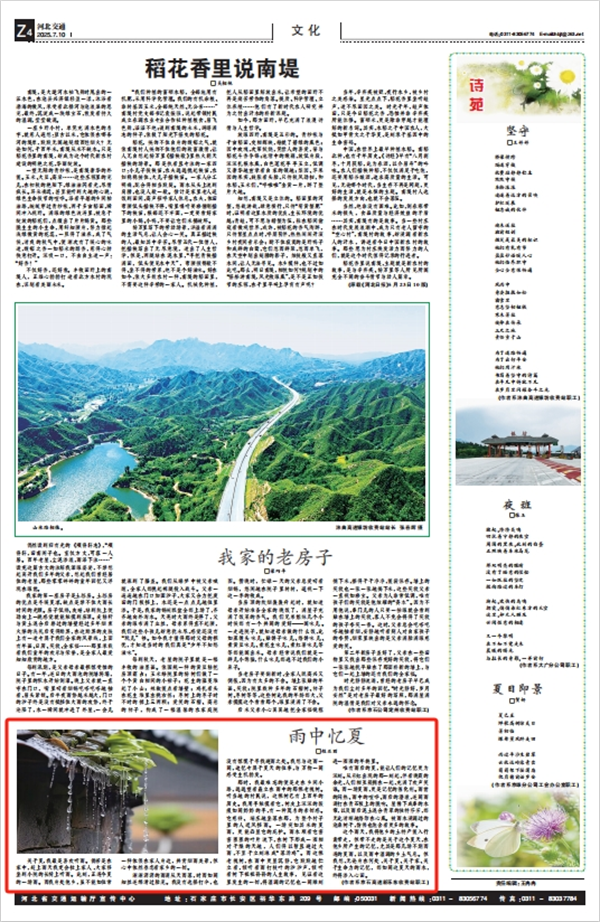 河北交通报 程亚丽《雨中忆夏》.png